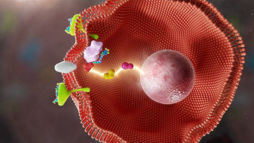 20200107191350 20200107191350